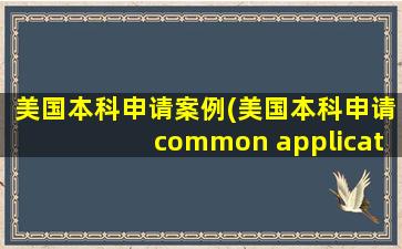 美国本科申请案例(美国本科申请common application)